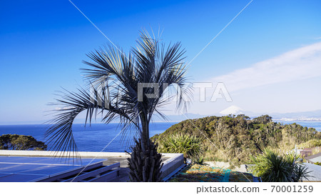 Winter in Enoshima, a famous place in Shonan, Kamakura Fujisawa 70001259