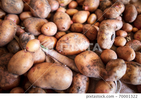 Potato harvest in the cellar as a background Potato harvest in the cellar as a background 70001322