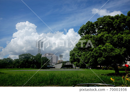 Summer sky / summer clouds / park Summer sky / summer clouds / park 70001936