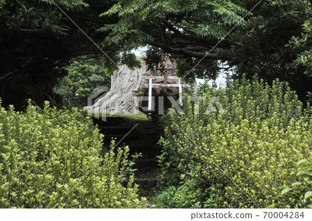 Torii standing in the back of the trees Torii standing in the back of the trees 70004284
