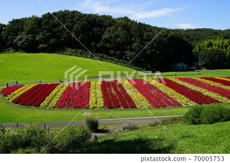 9月17日：羽毛特產（Hiyu家族）花場/國立武藏山森林公園 70005753
