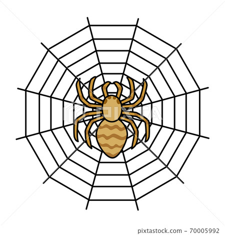黃毒蜘蛛 70005992