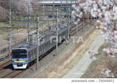 千葉新市鎮鐵路9800和櫻花 千葉新市鎮鐵路9800和櫻花 70008601