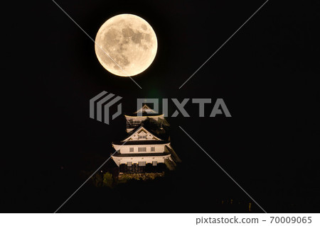 中秋豐收月 70009065