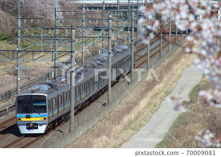 Chiba New Town Railway 9800 and Sakura Chiba New Town Railway 9800 and Sakura 70009081
