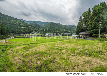 岐阜縣東白川村茶園 70009562