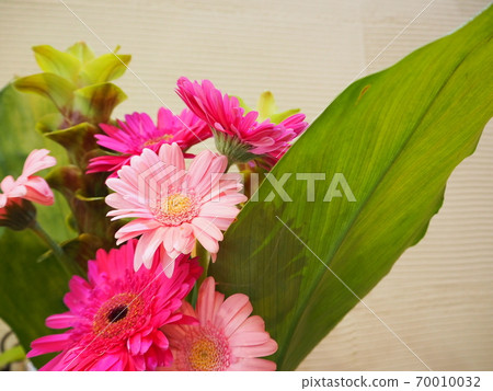 鮮花 鮮花 70010032