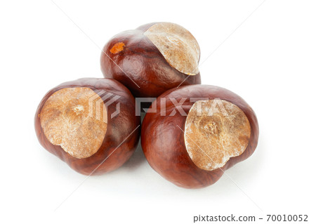 Chestnuts isolated on white background. Chestnuts isolated on white background. 70010052