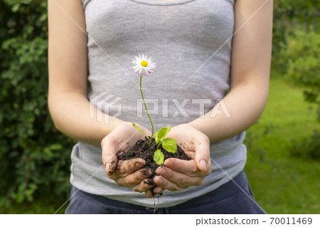 Girl carefully holds in her palms a small flower with earth in nature Girl carefully holds in her palms a small flower with earth in nature 70011469