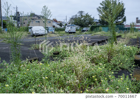 Dirty parking lot rough with weeds 70011667