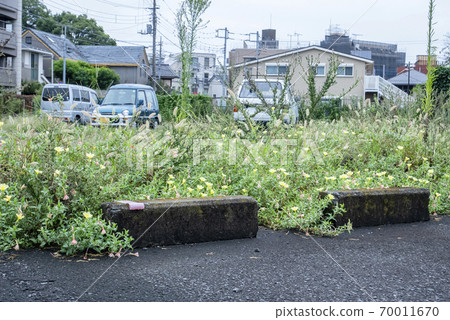 雜草粗糙的骯髒停車場 雜草粗糙的骯髒停車場 70011670