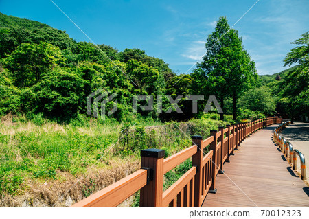 Cheonggye mountain trail road in Uiwang, Korea 70012323