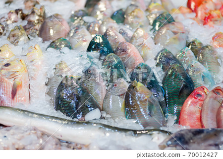 Natural freshly caught fish on an iced market counter. Natural freshly caught fish on an iced market counter. 70012427