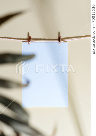 Blank paper card attached pegs hans on a rope with leaf. 70012530