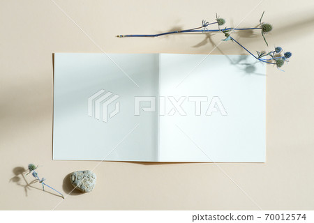 Mockup bifold empty brochure with dried plant and shadows. 70012574