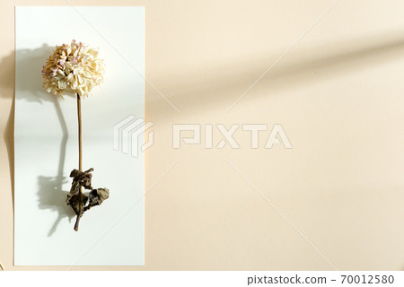 Decorative card with withered flower on a bifold paper. 70012580