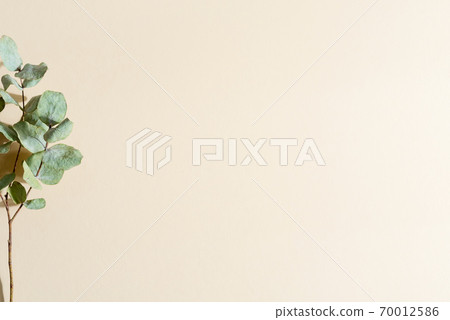 Border from dry Eucalyptus twig on a beige background. Border from dry Eucalyptus twig on a beige background. 70012586