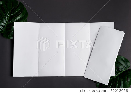 Paper mock-up brochures with natural tropical palm leaf. 70012658