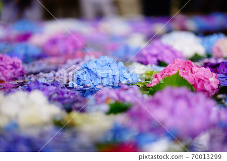 Hydrangea Hand Water House 70013299