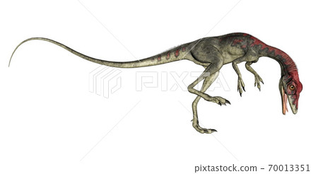 Compsognathus dinosaur roaring - 3D render 70013351