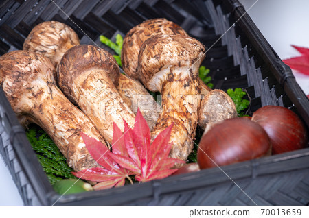 Delicious autumn taste: Matsutake mushrooms, chestnuts, autumn leaves, kabosu 70013659