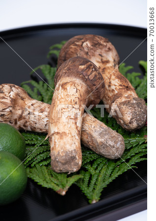 秋天的美味:松蘑菇,栗子,秋葉,烤肉 秋天的美味:松蘑菇,栗子,秋葉,烤肉 70013668