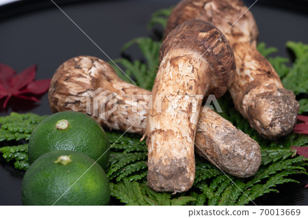 秋天的美味:松蘑菇,栗子,秋葉,烤肉 秋天的美味:松蘑菇,栗子,秋葉,烤肉 70013669