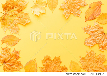Colorful leaves frame on yellow background with copy space. Halloween or thanksgiving concept. 70013934