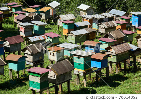 village apiary in the highlands with homemade beehives 70014052