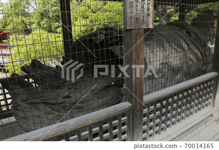Miyajima Itsukushima Shrine Aki Hiroshima 70014165