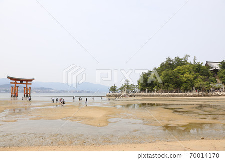 Miyajima Itsukushima Shrine Aki Hiroshima Miyajima Itsukushima Shrine Aki Hiroshima 70014170