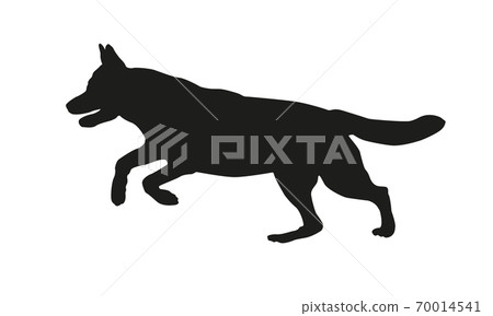 Black dog silhouette. Running german shepherd dog. 70014541