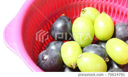 Grape Grape 70014791
