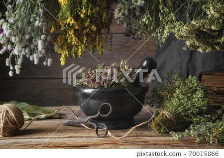 Hanging bunches of medicinal herbs, black stone mortar with dried plants. Alternative medicine. 70015866
