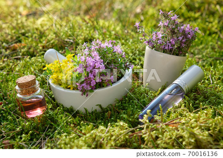 Mortar of thyme and medicinal herbs, essential oil 70016136