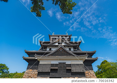 Matsue Castle National Treasure Tower 70016342