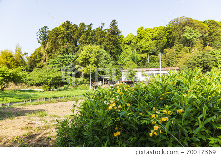 Rural scenery remaining in Maioka Furusato Park, Yokohama City, Kanagawa Prefecture (before rice planting) 70017369