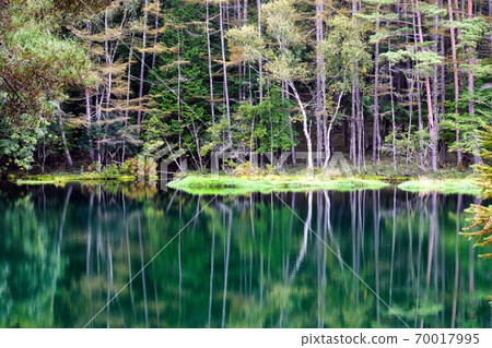 Shirakaba and Mishakaike Pond Shirakaba and Mishakaike Pond 70017995