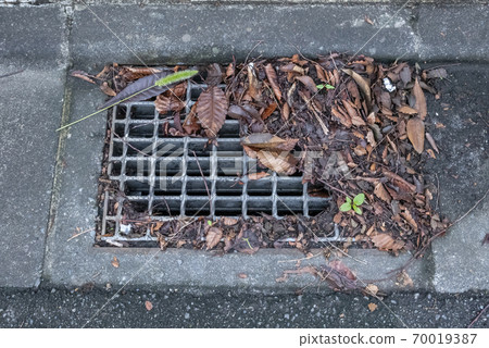 Fallen leaves clogged in the drain 70019387