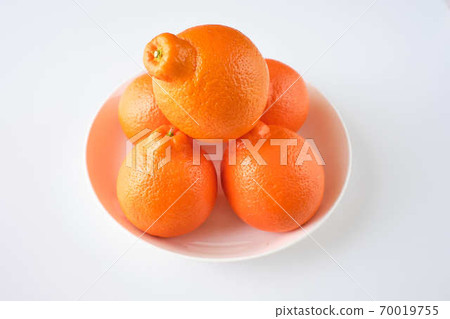 Mineola Orange Mineola Orange 70019755