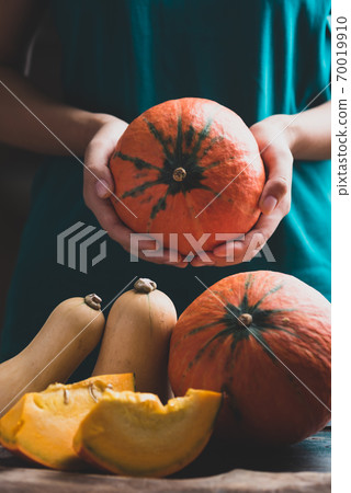 Hand harvesting orange pumpkin and butternut squash Hand harvesting orange pumpkin and butternut squash 70019910