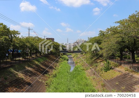 Kotta River (Kotta, Tama City, Tokyo) 70020458