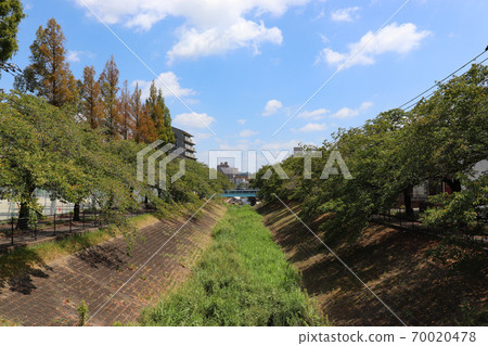 Kotta River (Kotta, Tama City, Tokyo) 70020478