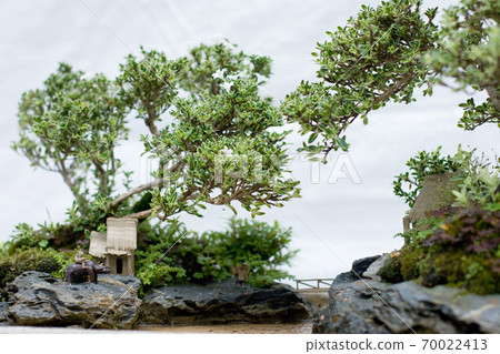 a Bonsai and Penjing landscape with miniature. 70022413