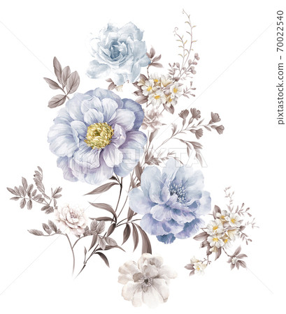 水彩玫瑰花卉集合 水彩玫瑰花卉集合 70022540