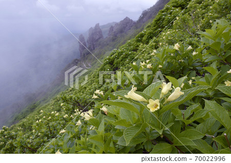 Ukon Utsugi社區(北海道大雪山) Ukon Utsugi社區(北海道大雪山) 70022996