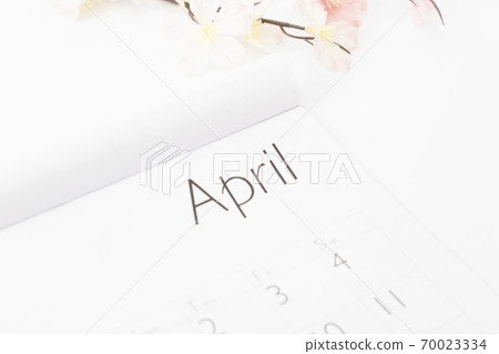 Calendar Calendar 70023334