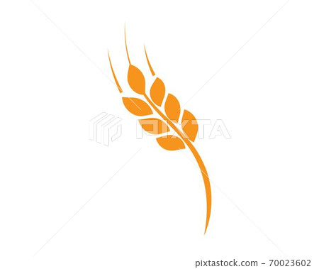 wheat Logo Template wheat Logo Template 70023602