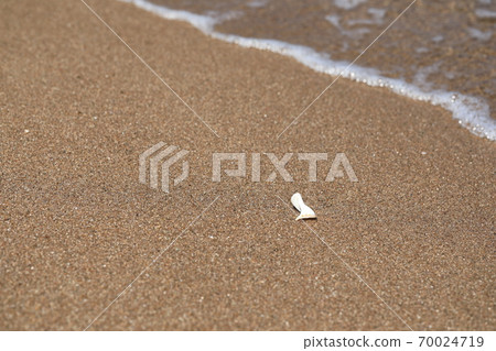 Beautiful scenery where you can see the sand and shells of the beach 70024719
