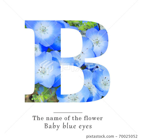 Alphabet B Alphabet B 70025052